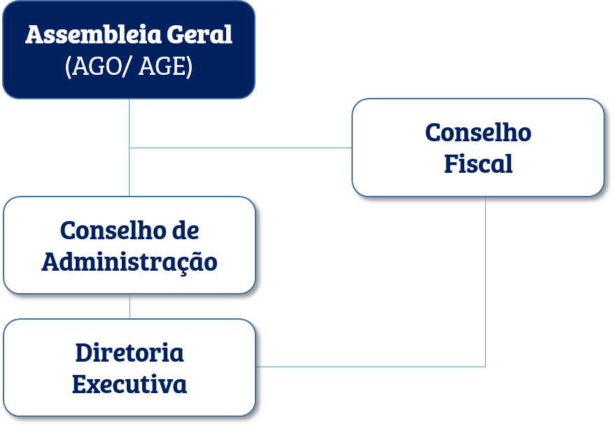 Organograma